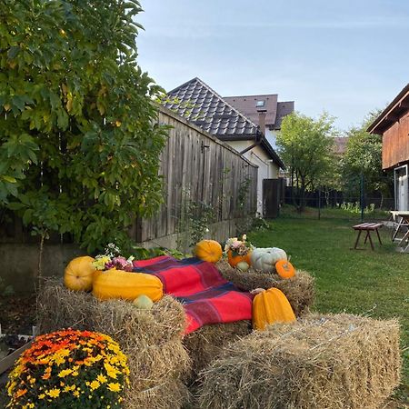 Grandma'S Cottage Săcele Εξωτερικό φωτογραφία